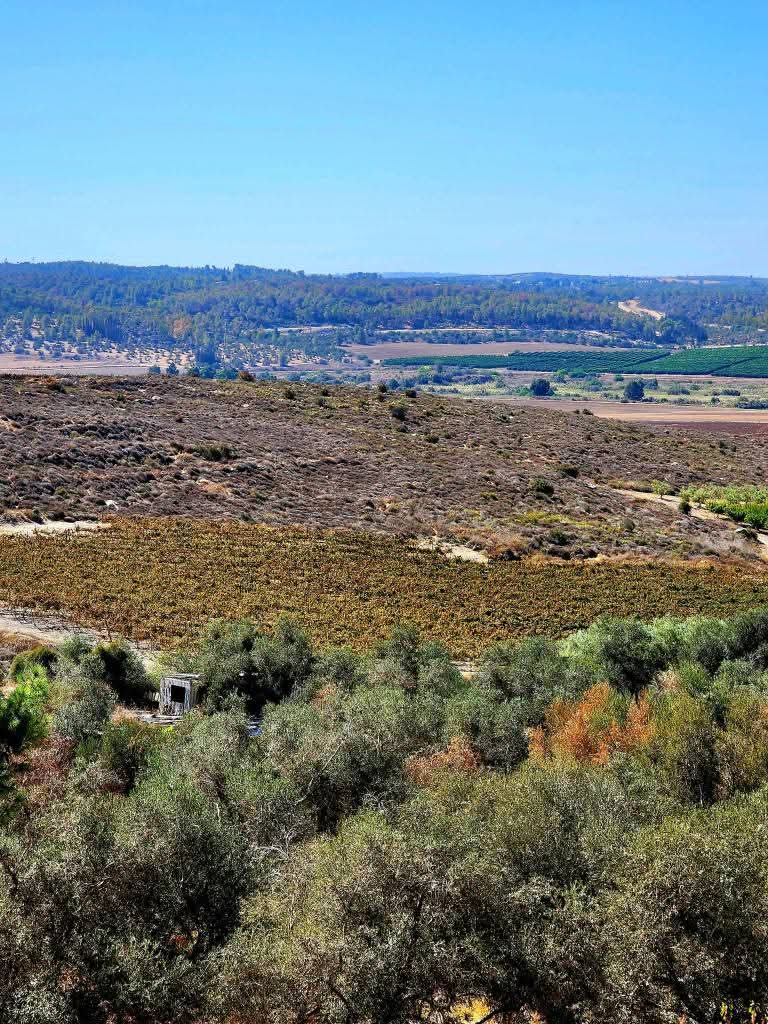 القدس | موسوعة القرى الفلسطينية